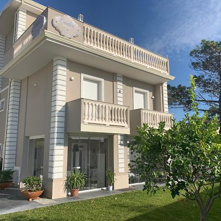 Crialesi Boutique Rooms Falerna Dış mekan fotoğraf